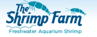 The Shrimp Farm